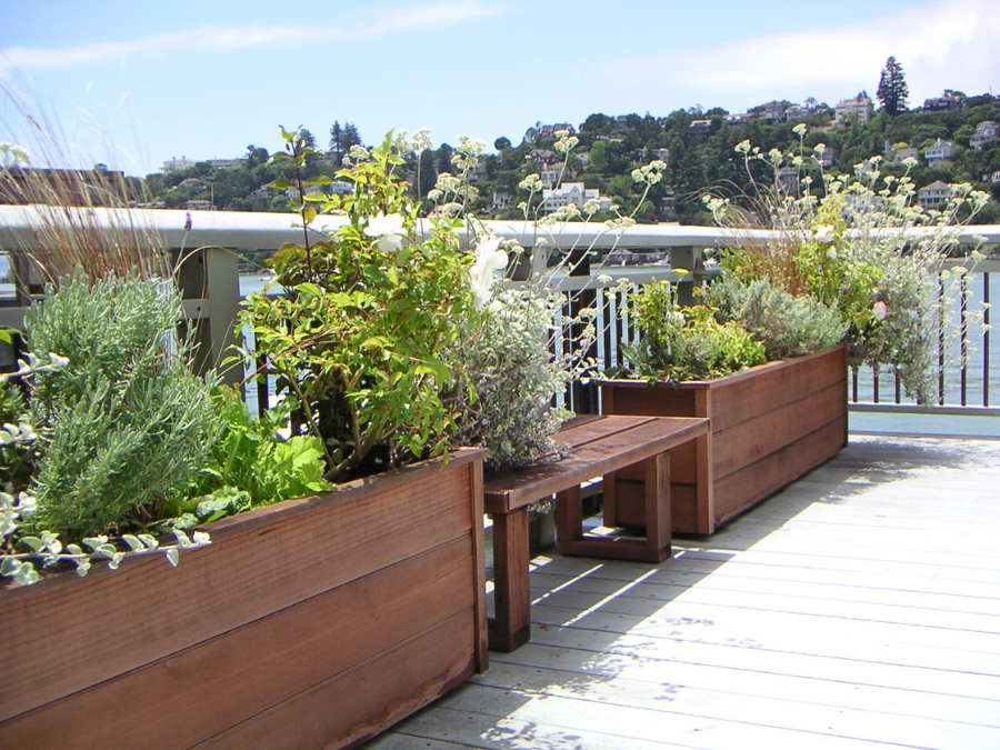 FYGN | For Your Gardens' Needs | Landscape Design