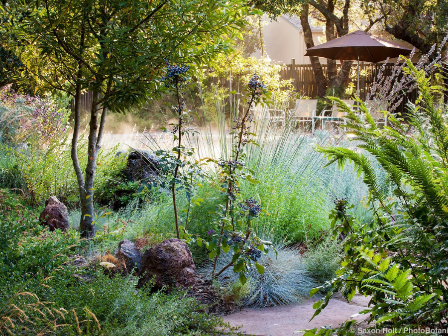 FYGN | For Your Gardens' Needs | Landscape Design