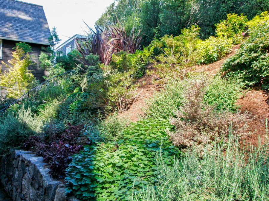 FYGN | For Your Gardens' Needs | Landscape Design