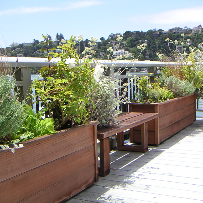 FYGN | For Your Gardens' Needs | Landscape Design