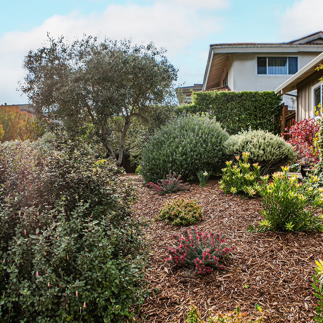 Bret de Zordo - FYGN