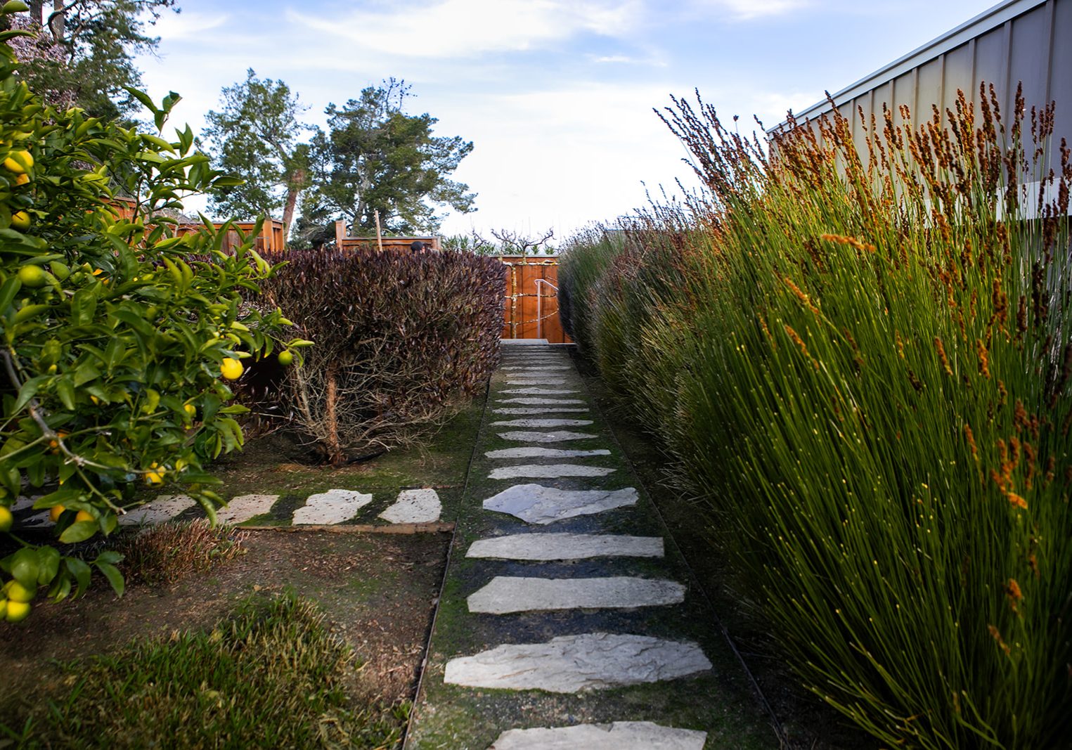 Bret de Zordo - FYGN