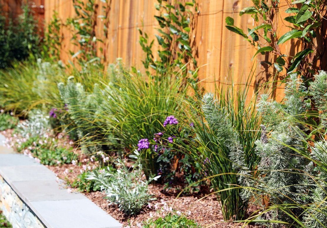 Backyard Play Space, San Francisco by FYGN | For Your Gardens' Needs | Landscape Design