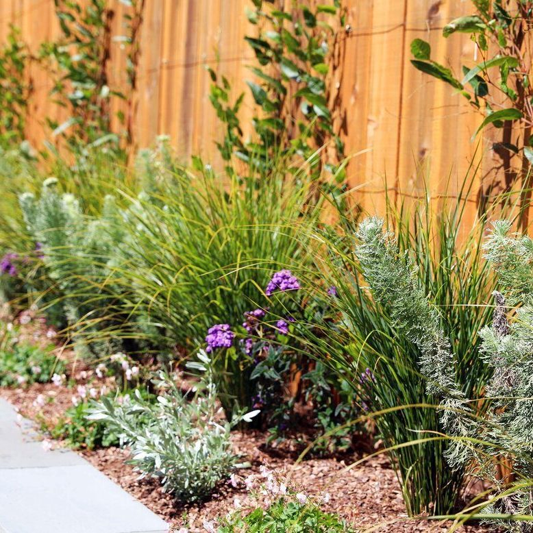 Backyard Play Space, San Francisco by FYGN | For Your Gardens' Needs | Landscape Design