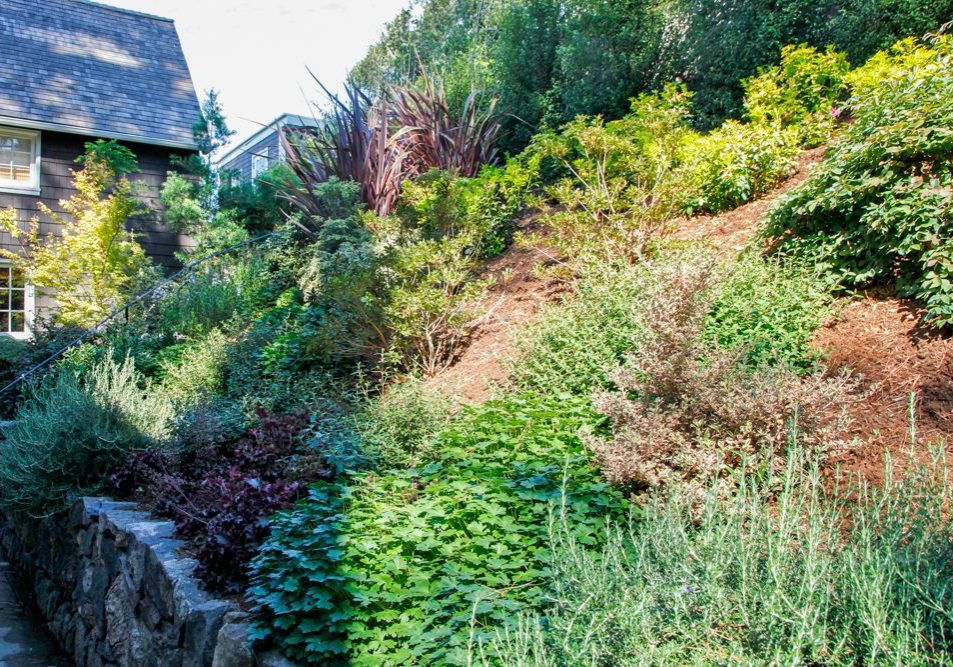 Mill Valley, Marin County Residential Backyard by FYGN | For Your Gardens' Needs | Landscape Design