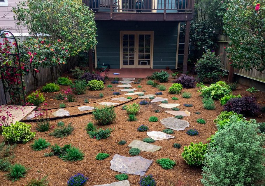 sea-cliff-for-your-gardens-needs-1-e1738895168996