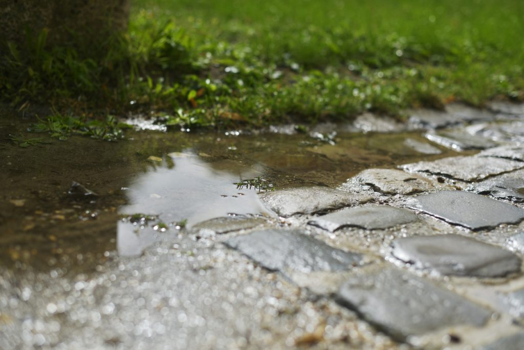 Marin County Winter Runoff and Drainage Issue - FYGN | For Your Gardens' Needs Standing water near a patio after a winter storm in Marin County.